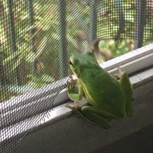 Meet your Posher, Kristen